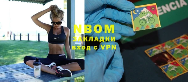 прущие грибы Пестово