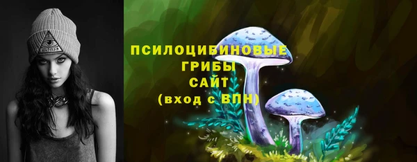 ГАЛЛЮЦИНОГЕННЫЕ ГРИБЫ Переславль-Залесский