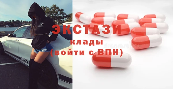 СК Пересвет