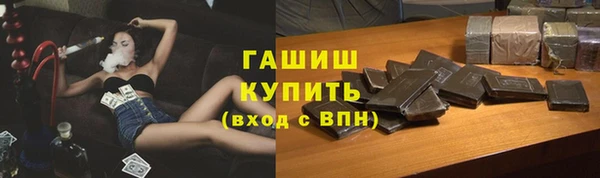 СК Пересвет