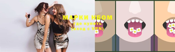 прущие грибы Пестово