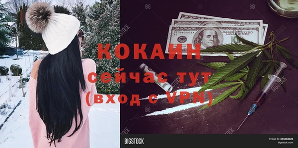 прущие грибы Пестово