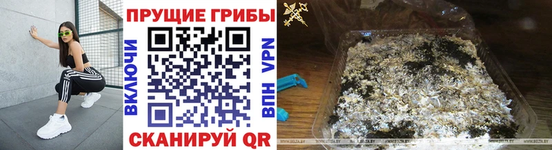 Псилоцибиновые грибы мицелий как найти наркотики Рославль