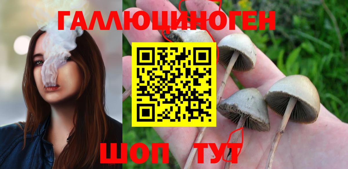 Рославль  Псилоцибиновые грибы мицелий  Вход с VPN 