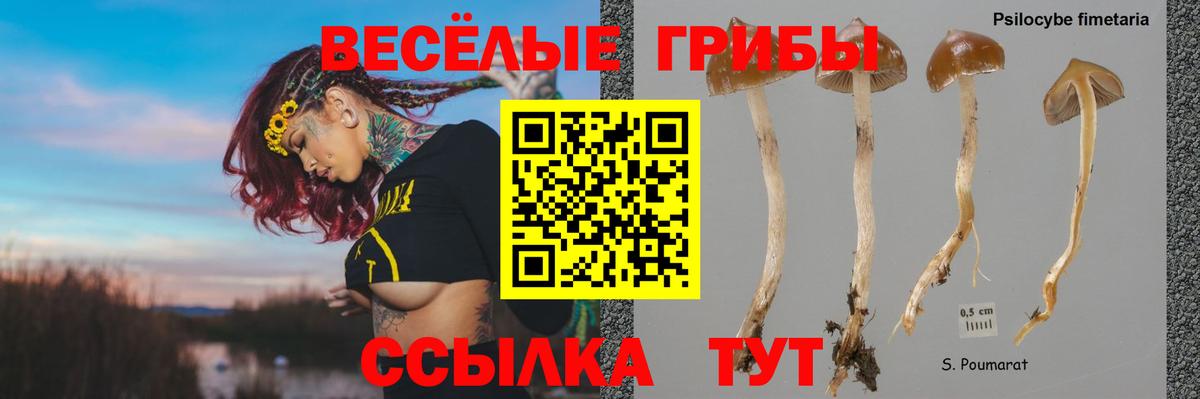 Галлюциногенные грибы GOLDEN TEACHER Рославль